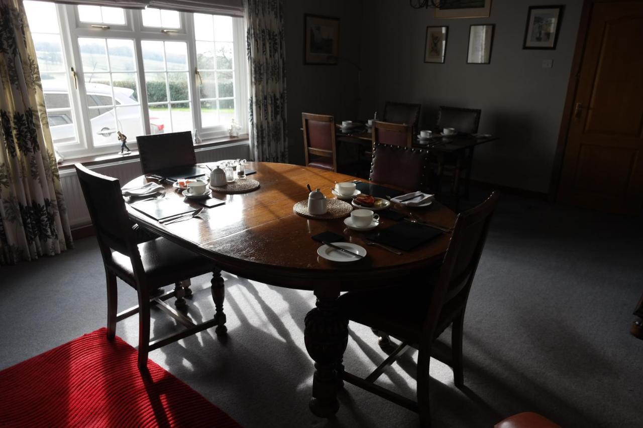 Hazel Court Guest House 뉴포트 외부 사진